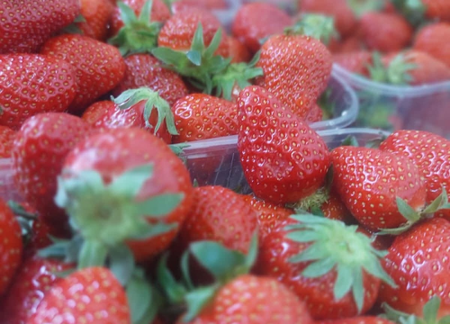 Fotografija 1 - Učenici šibenske Ekonomske škole sudjelovali na EPAS susretu škola Dalmacije