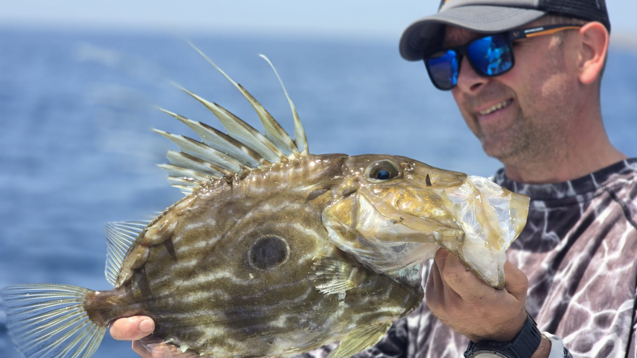 Zabaci varalicu na šibenskoj rivi uz Savage Gear!