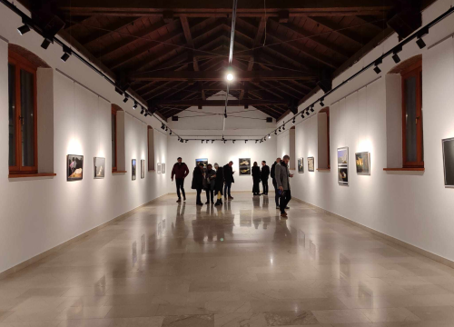 Udruga Arka u Kninskom muzeju: U petak otvorenje izložbe radova bosanskohercegovačkih umjetnika