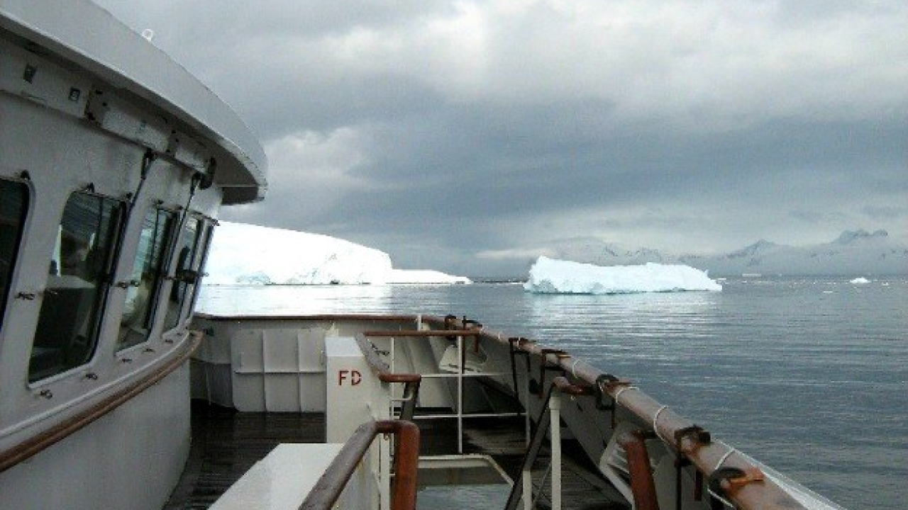 Čini se da Veliki Gogo ipak nije prvi Šibenčanin na Antarktici, prije njega je tamo bio Filip
