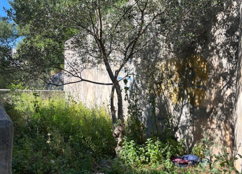 Fotografija 12 - Vidici zarasli, trava do pasa: Kosilice izašle na teren kod 'Lepe Brene'