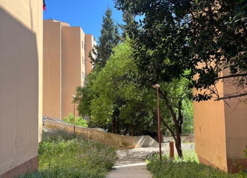 Fotografija 7 - Vidici zarasli, trava do pasa: Kosilice izašle na teren kod 'Lepe Brene'