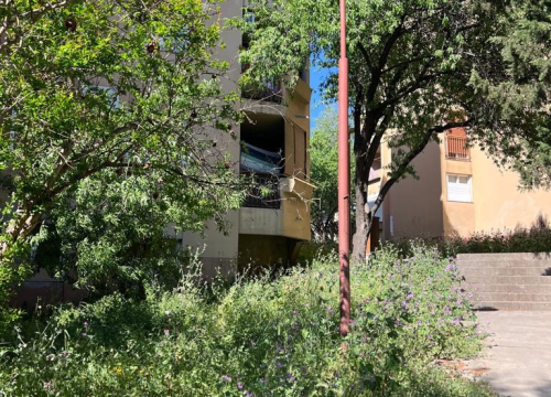 Fotografija 8 - Vidici zarasli, trava do pasa: Kosilice izašle na teren kod 'Lepe Brene'