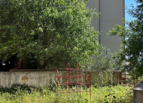 Fotografija 5 - Vidici zarasli, trava do pasa: Kosilice izašle na teren kod 'Lepe Brene'