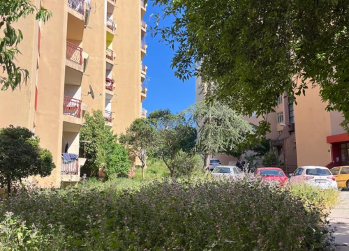 Fotografija 1 - Vidici zarasli, trava do pasa: Kosilice izašle na teren kod 'Lepe Brene'