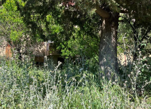 Fotografija 10 - Vidici zarasli, trava do pasa: Kosilice izašle na teren kod 'Lepe Brene'