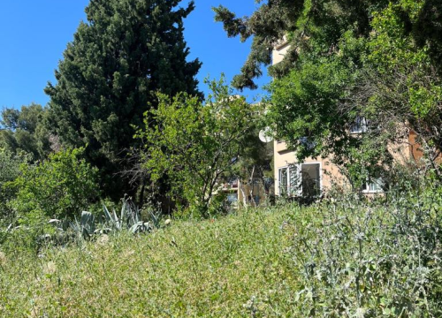 Fotografija 11 - Vidici zarasli, trava do pasa: Kosilice izašle na teren kod 'Lepe Brene'