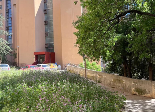 Fotografija 4 - Vidici zarasli, trava do pasa: Kosilice izašle na teren kod 'Lepe Brene'