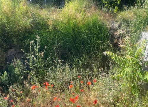Fotografija 6 - 'Zeleni grad' u pogonu: Nakon Vidika, stižu pritužbe i na zapuštenost oko Baronea i Šubićevog šetališta