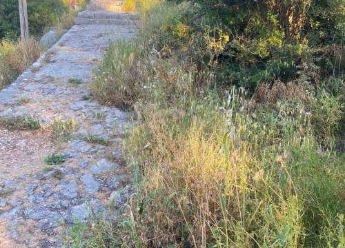 Fotografija 4 - 'Zeleni grad' u pogonu: Nakon Vidika, stižu pritužbe i na zapuštenost oko Baronea i Šubićevog šetališta