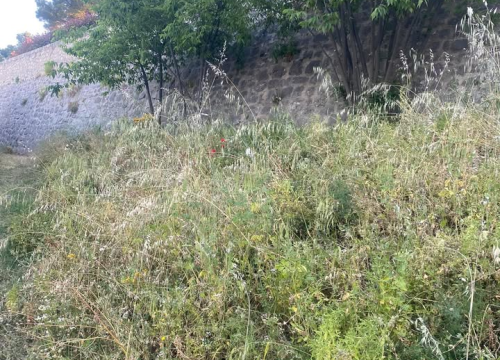 Fotografija 2 - 'Zeleni grad' u pogonu: Nakon Vidika, stižu pritužbe i na zapuštenost oko Baronea i Šubićevog šetališta