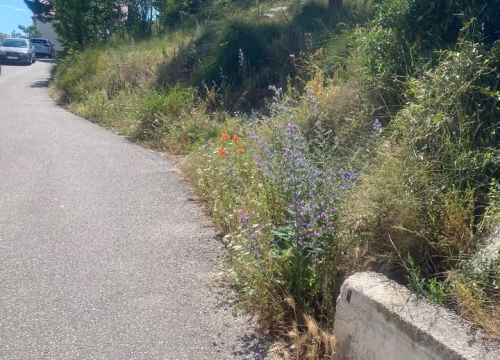 Fotografija 3 - 'Zeleni grad' u pogonu: Nakon Vidika, stižu pritužbe i na zapuštenost oko Baronea i Šubićevog šetališta