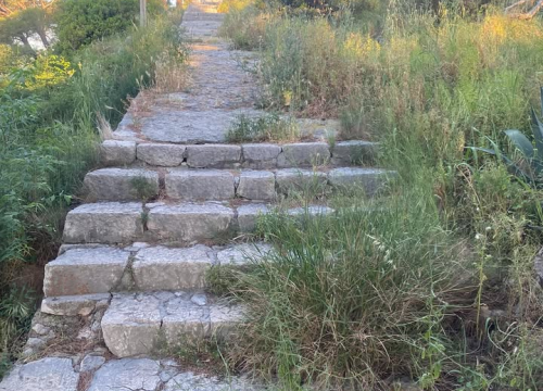 Fotografija 7 - 'Zeleni grad' u pogonu: Nakon Vidika, stižu pritužbe i na zapuštenost oko Baronea i Šubićevog šetališta