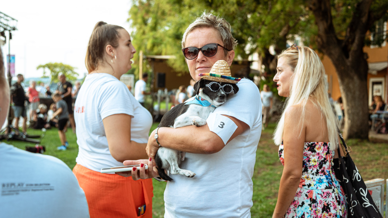Vlasnici znaju prilično razmaziti svoje pse kada je riječ o hranjenju