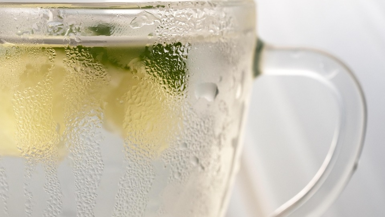 Ovih pet vrsta pića saveznici su u skidanju kilograma i održavanju zdravlja