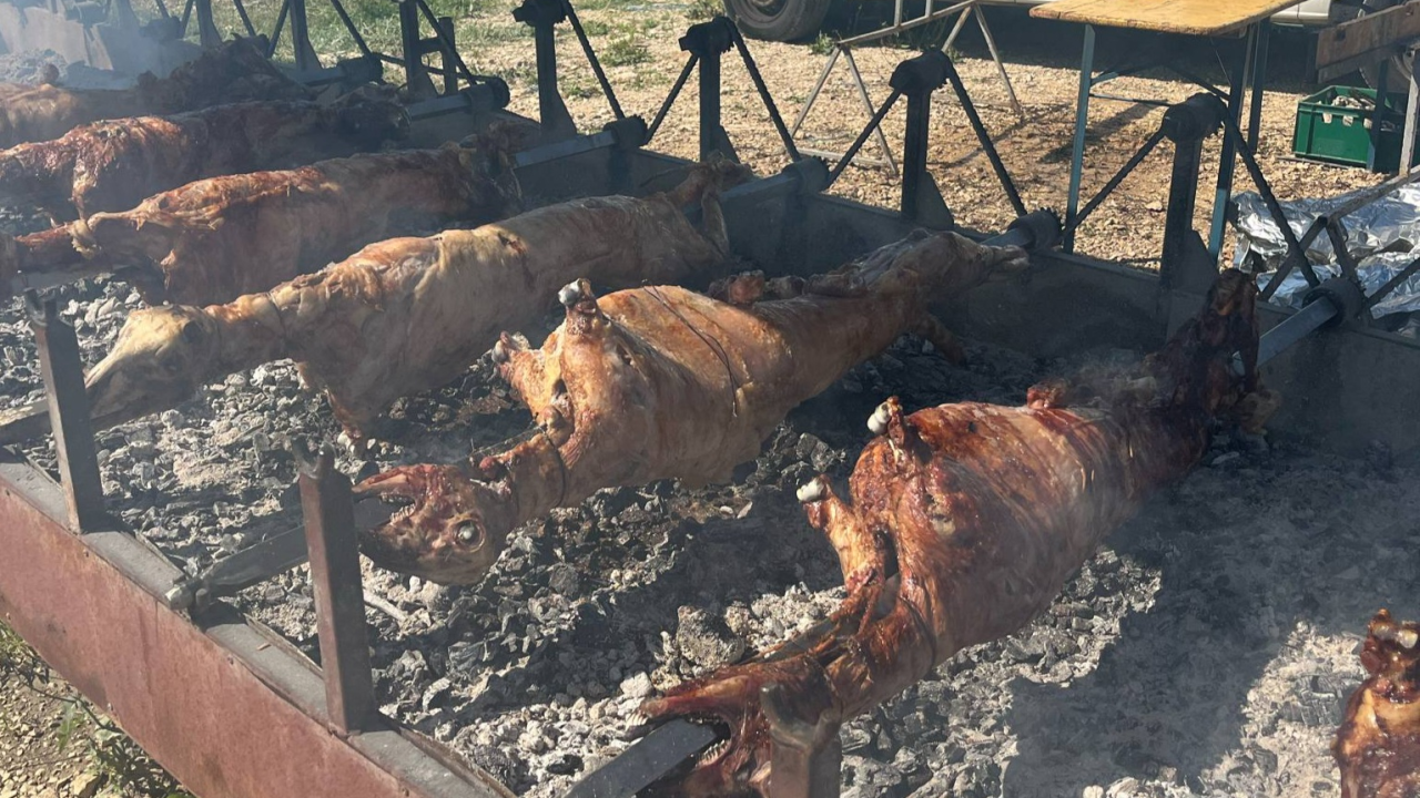 Mirisi janjca i šušur tradicije: Ekipa ŠibenikIN-a jutros na benkovačkom sajmu