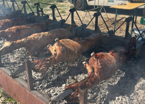 Fotografija 8 - Mirisi janjca i šušur tradicije: Ekipa ŠibenikIN-a jutros na benkovačkom sajmu
