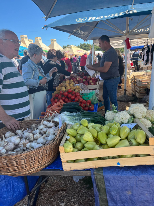 Mirisi janjca i šušur tradicije: Ekipa ŠibenikIN-a jutros na benkovačkom sajmu