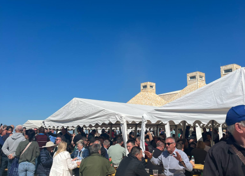 Fotografija 17 - Mirisi janjca i šušur tradicije: Ekipa ŠibenikIN-a jutros na benkovačkom sajmu