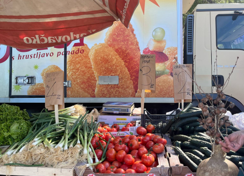 Fotografija 12 - Mirisi janjca i šušur tradicije: Ekipa ŠibenikIN-a jutros na benkovačkom sajmu