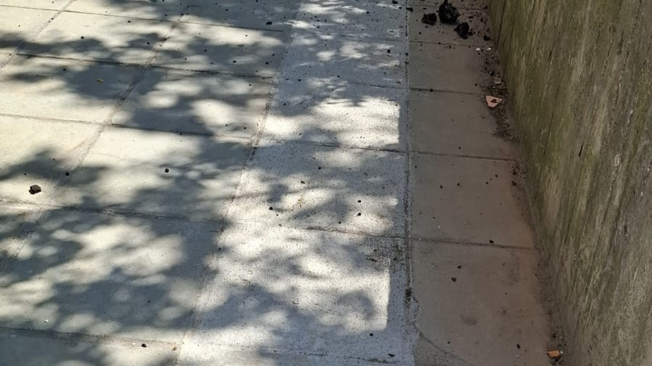 'Leteći pitari' na Šubićevcu ugrozili prolaznike i djecu: Apel građana nakon potencijalno opasne situacije ispred vrtića