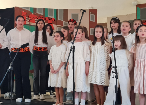 Fotografija 5 - Šibeniče, kapa do poda