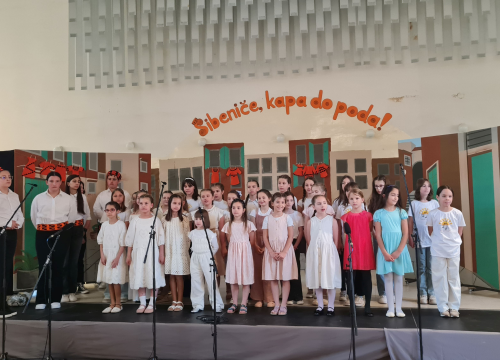 Fotografija 6 - Šibeniče, kapa do poda