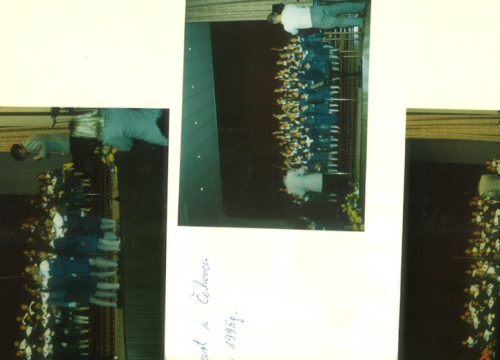 Fotografija 10 - Cvrčak slavi 40. rođendan