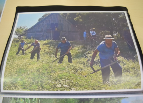 Fotografija 2 - Održan prvi Festival bioraznolikosti u poljoprivredi u Eko kampusu 'Krka'