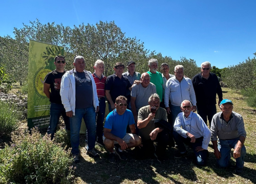 Fotografija 4 - Pirovačka Udruga 'Uljanica' proslavila vrijedna međunarodna priznanja