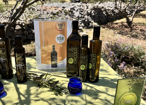 Fotografija 14 - Pirovačka Udruga 'Uljanica' proslavila vrijedna međunarodna priznanja