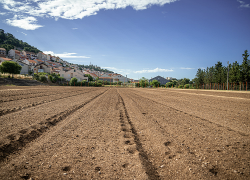 Fotografija 1 - Stadion u SC Ljubica u Šibeniku napokon se uređuje