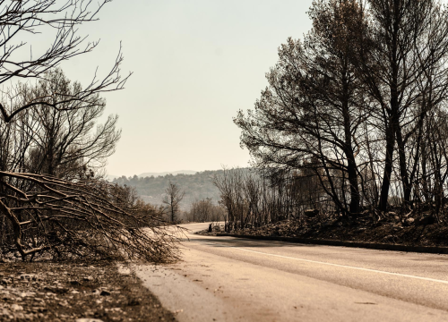 Hrvatske šume s ciljem prevencije požara rasporedile 220 kamera na 110 lokacija