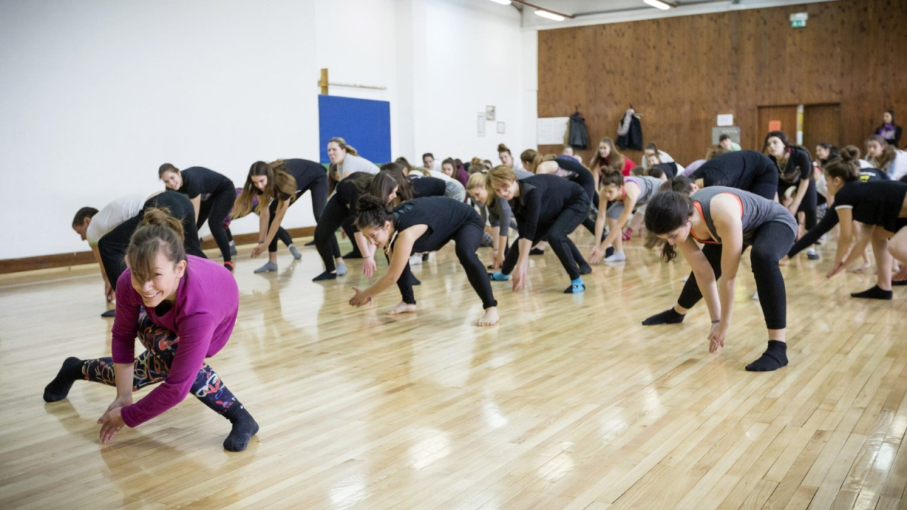 Ususret 14. izdanju Šibenik Dance Festivala!