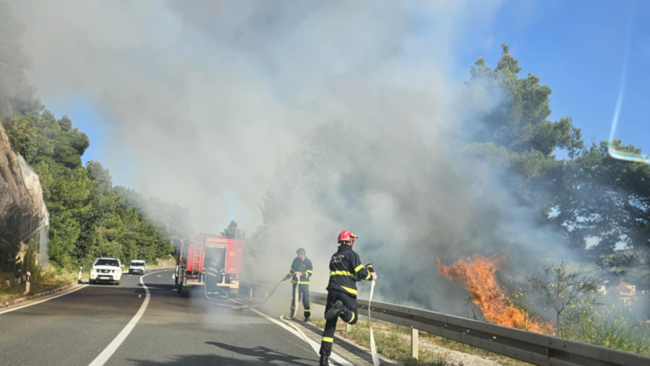 Požar u Žaboriću lokaliziran, gorjela trava i nisko raslinje