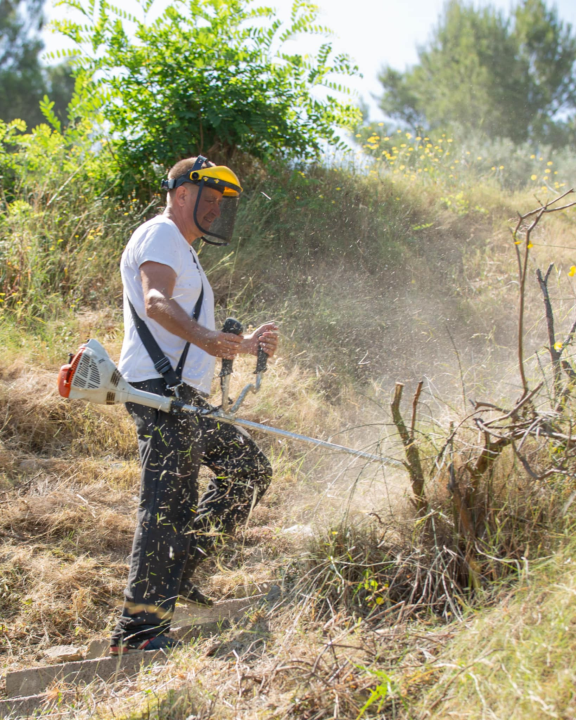 Velika eko akcija u Žaboriću: Više od 130 volontera očistilo obalu i podmorje