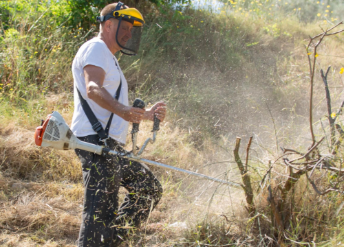 Fotografija 2 - Velika eko akcija u Žaboriću: Više od 130 volontera očistilo obalu i podmorje