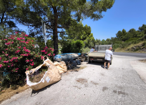 Fotografija 11 - Velika eko akcija u Žaboriću: Više od 130 volontera očistilo obalu i podmorje