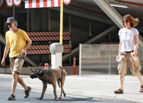 Fotografija 29 - Đir po gradu, nedjelja 8. lipnja