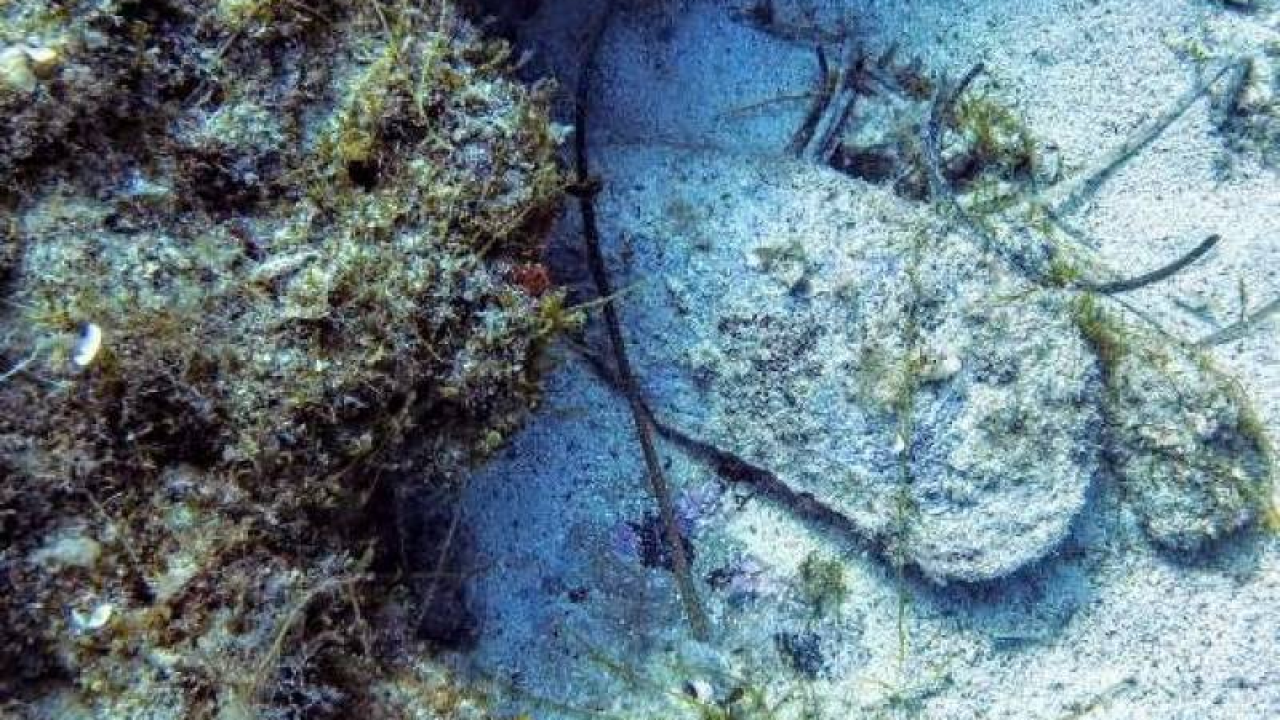 Mališani iz DV Osmijeh obilježili Svjetski dan oceana uz radionice i animirani film 'Mala periska'