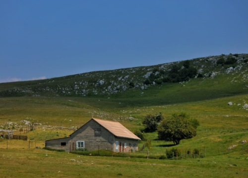 Fotografija 25 - Foto safari članova Foto kluba Šibenik: Objektivom zabilježili fascinantni svijet divljih konja iznad Livna