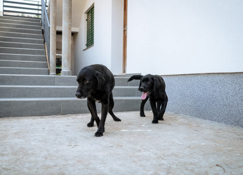 Fotografija 3 - Nekretnine u Njivicama sve traženije, grad planira čvorove za lakši ulaz u Šibenik