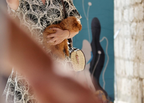 Fotografija 14 - Đir po gradu, nedjelja 15. lipnja