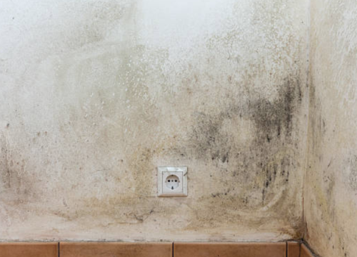 Fotografija 4 - FOTO Iskoristite 30 posto popusta i trajno se riješite vlažnih zidova i plijesni uz vrhunsku ventilaciju!