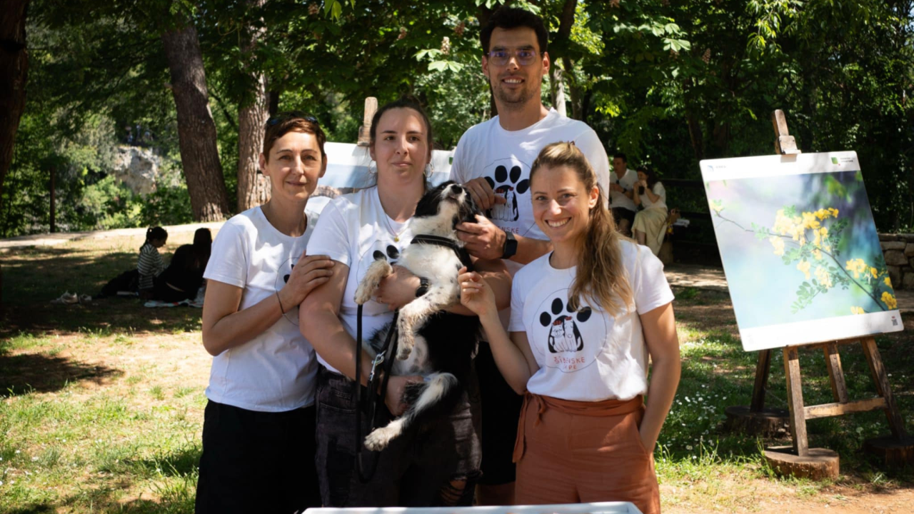 Dalmare shopping centar i Šibenske šape u zajedničkoj akciji: Kombi spasa za napuštene životinje