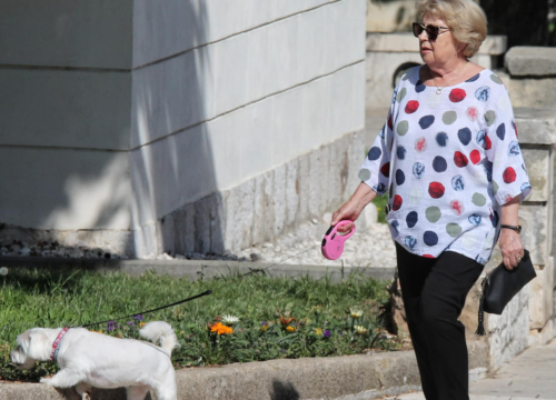 Fotografija 39 - Đir po gradu, četvrtak 19. lipnja