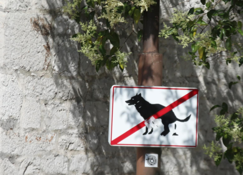 Fotografija 41 - Đir po gradu, četvrtak 19. lipnja