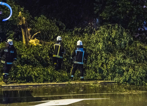 Intervencija sinoć na Baldekinu: Vatrogasci uklonili stablo s ceste