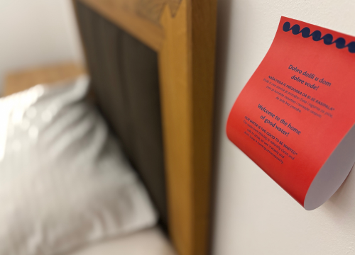 Fotografija 2 - FOTO Znate li što naši turisti prvo pitaju Google?