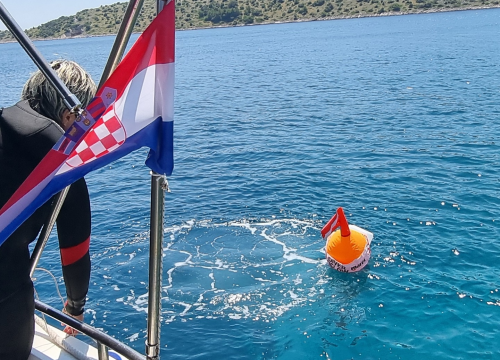 Fotografija 2 - U NP Kornati postavljeni kolektori za prikupljanje mlađi periske